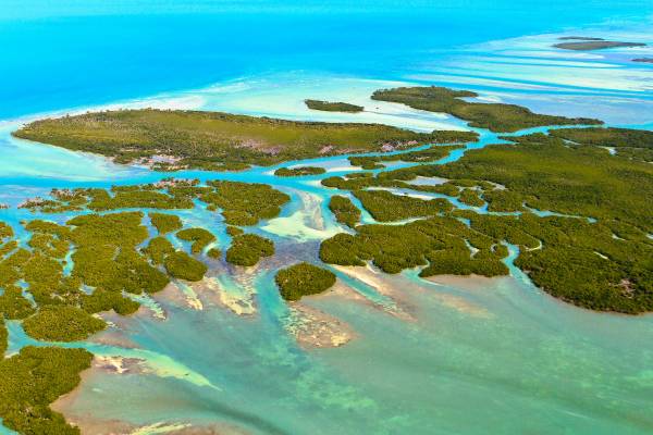 Florida Keys Area Guide- Bluescape Vacation Rentals