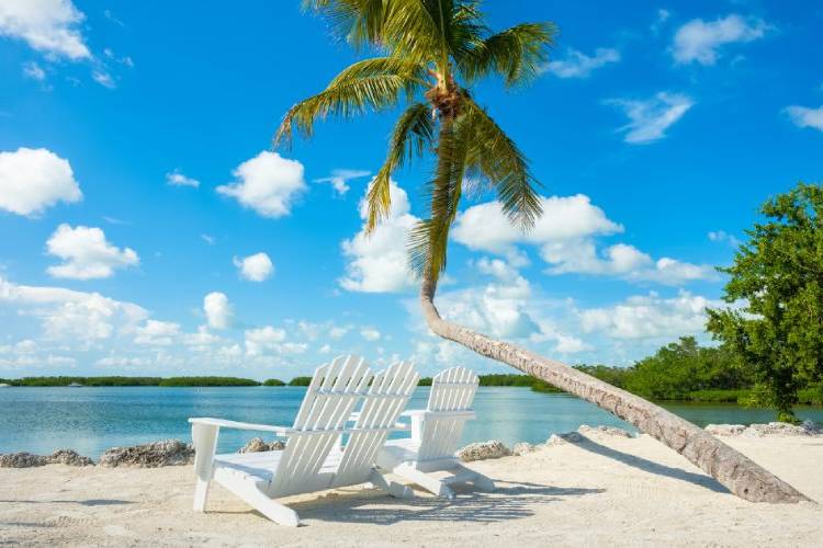 Bluescape Vacation Rentals offer