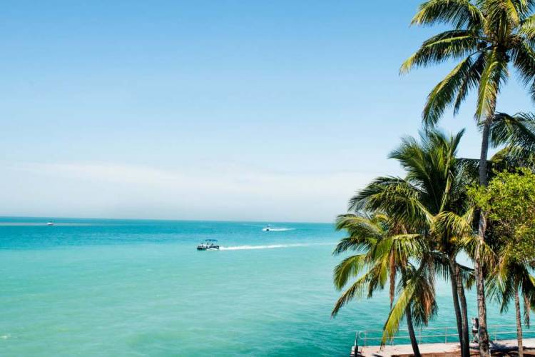 Bluescape Rental Management in the Florida Keys