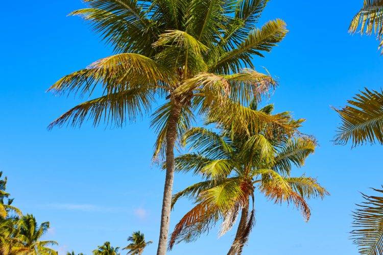 Bluescape Vacation Rentals offer